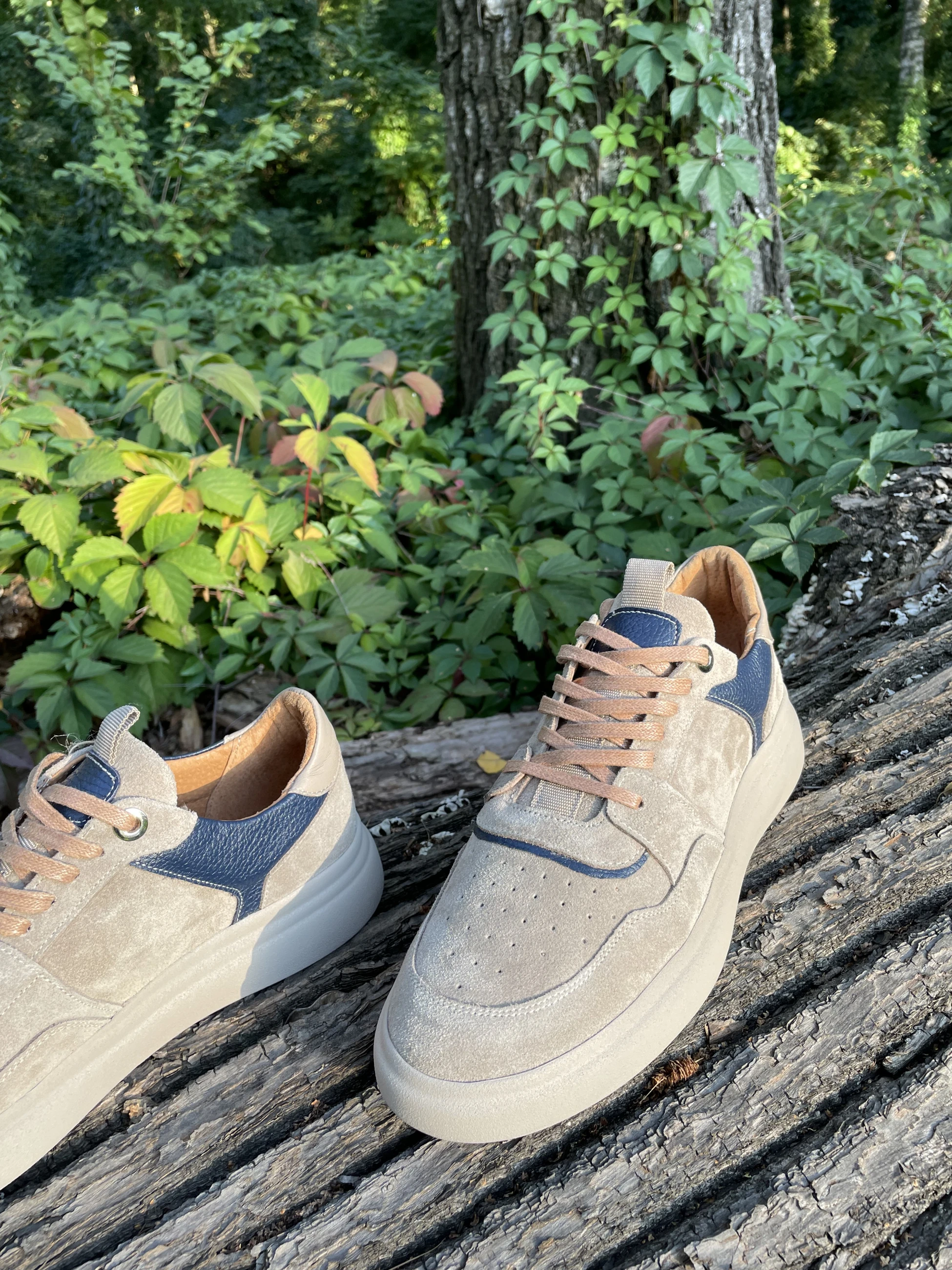 Кеди Beige & Navy, Кросівки, купити взуття